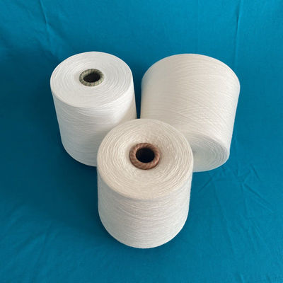 30S/2 가닥 O/E 300D 넥팅 코어 흰색 비스코스 필라멘트 라이온 가닥 60S R30S/1 폴리에스터 오리지나